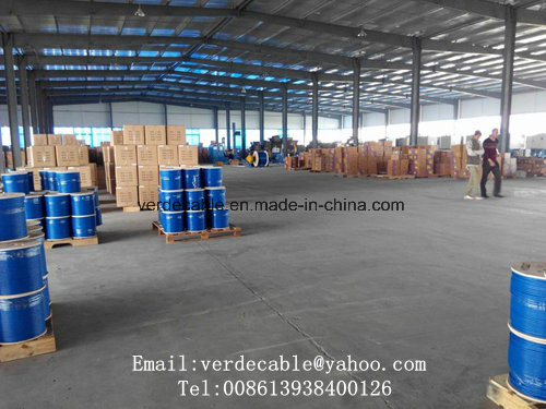 Hot Sale USA CAT6 Cat5e Cable for Network